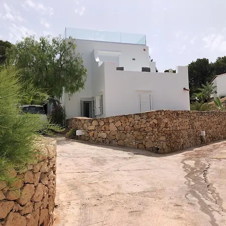 Palma San José